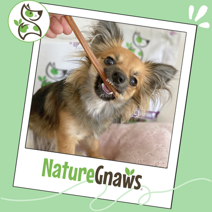 Extra Thin Bully Sticks 6" Long-Lasting Dental Dog Chews