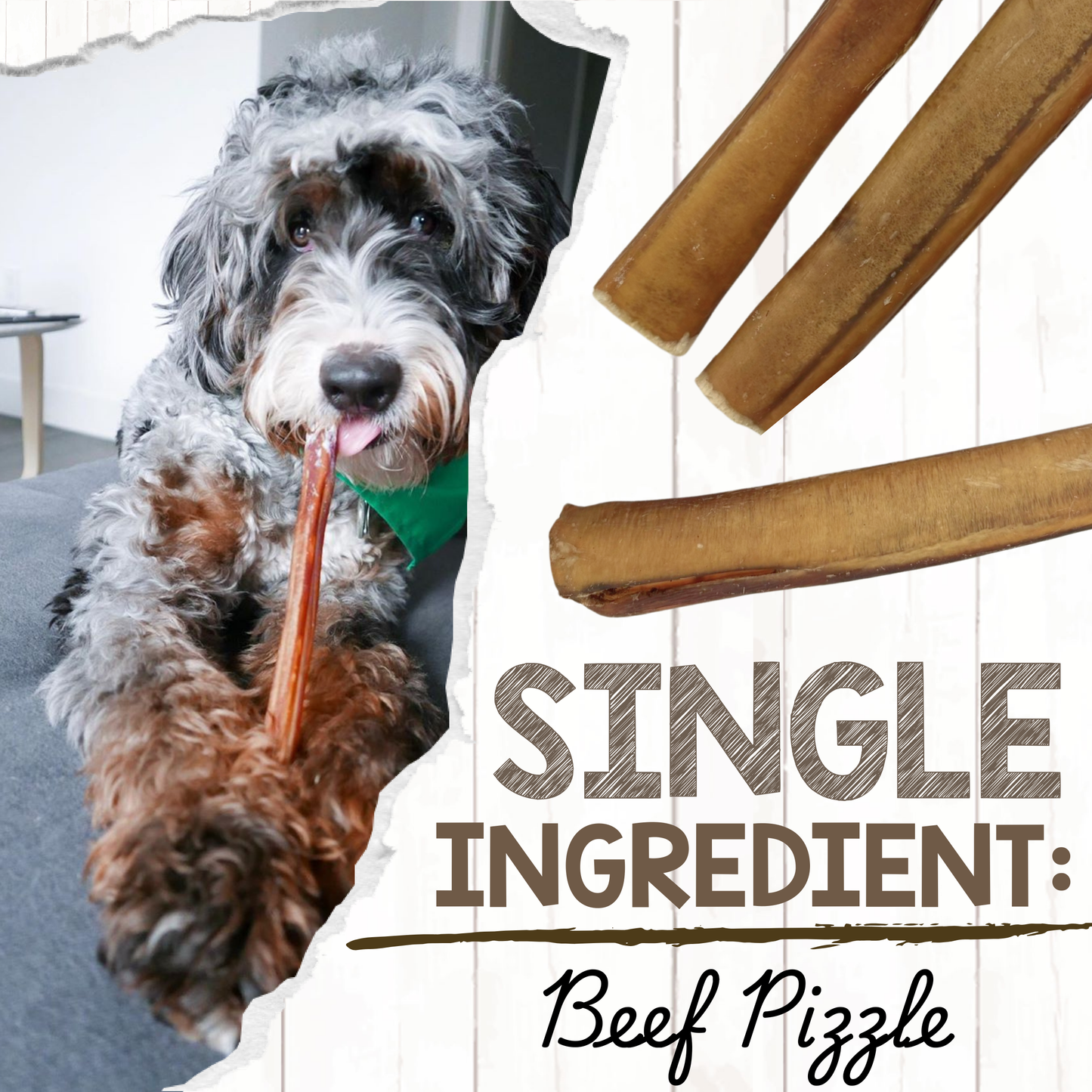 Jumbo Bully Sticks 11-12" Long-Lasting Dental Dog Chews