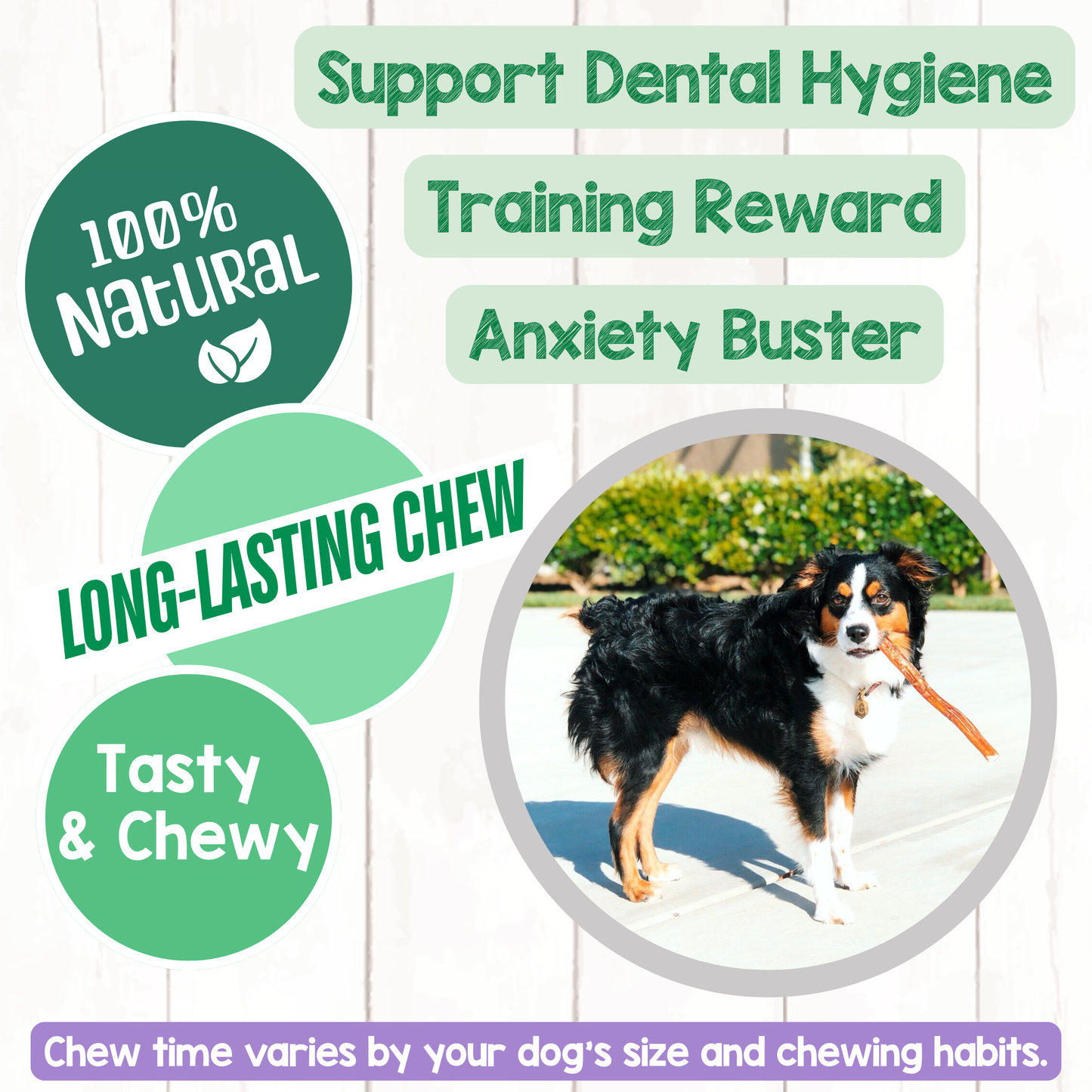 Jumbo Bully Sticks 11-12" Long-Lasting Dental Dog Chews