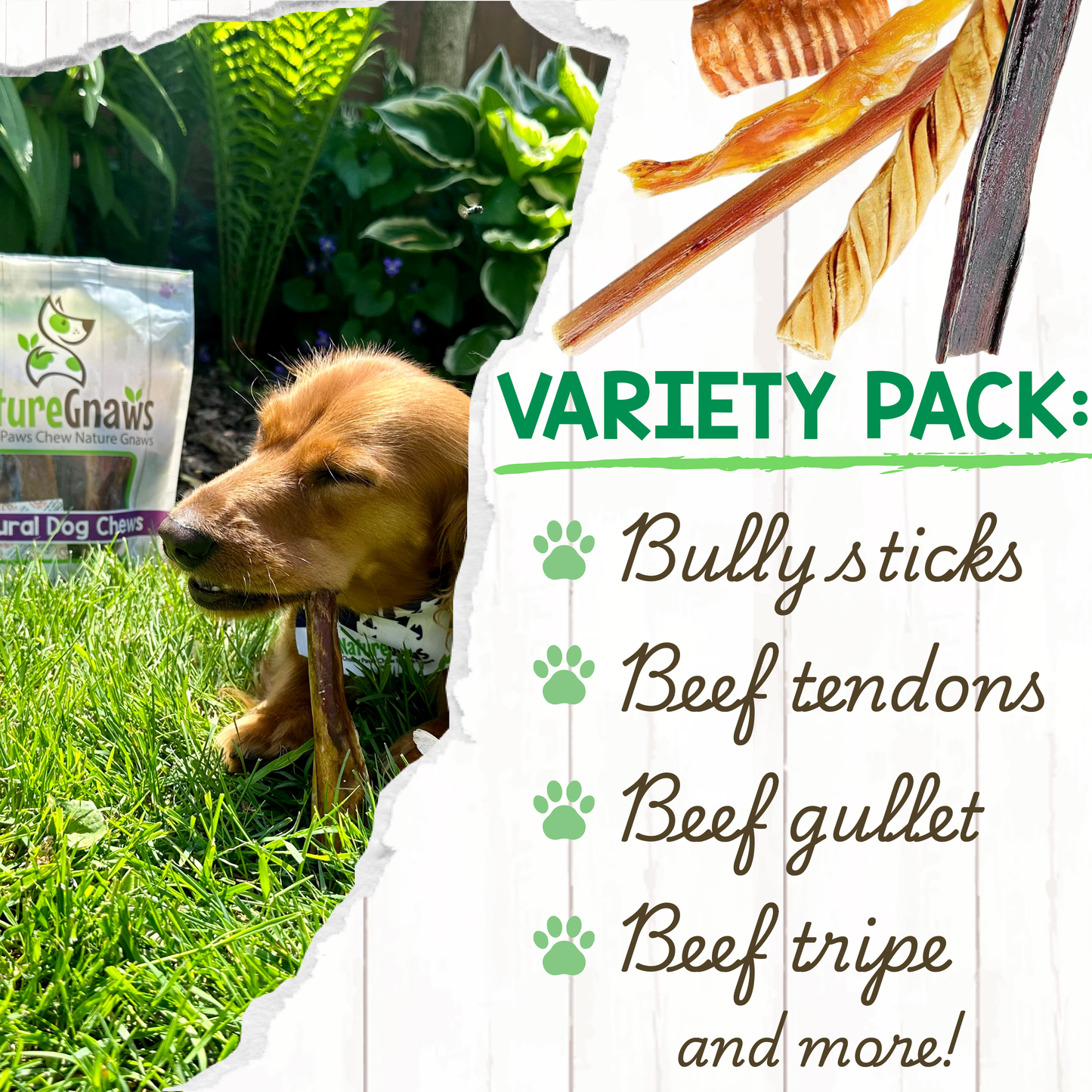 Premium Beef Dog Chews Variety Pack – Long-Lasting & Natural