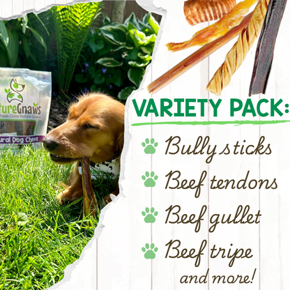 Premium Beef Dog Chews Variety Pack – Long-Lasting & Natural