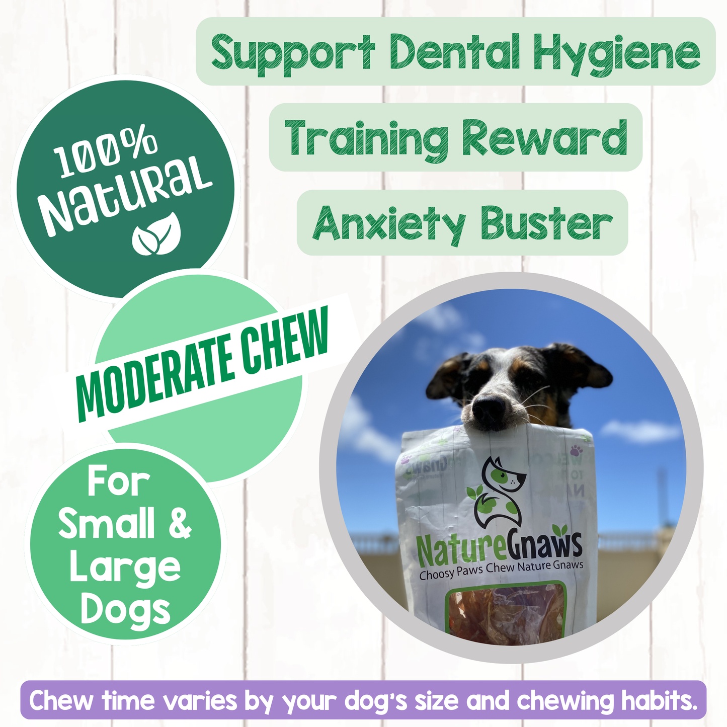 Premium Beef Dog Chews Variety Pack – Long-Lasting & Natural