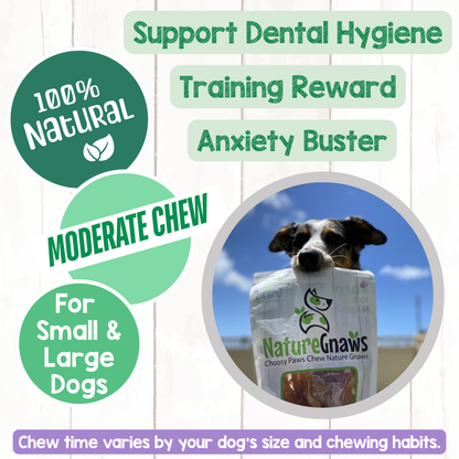 Premium Beef Dog Chews Variety Pack – Long-Lasting & Natural