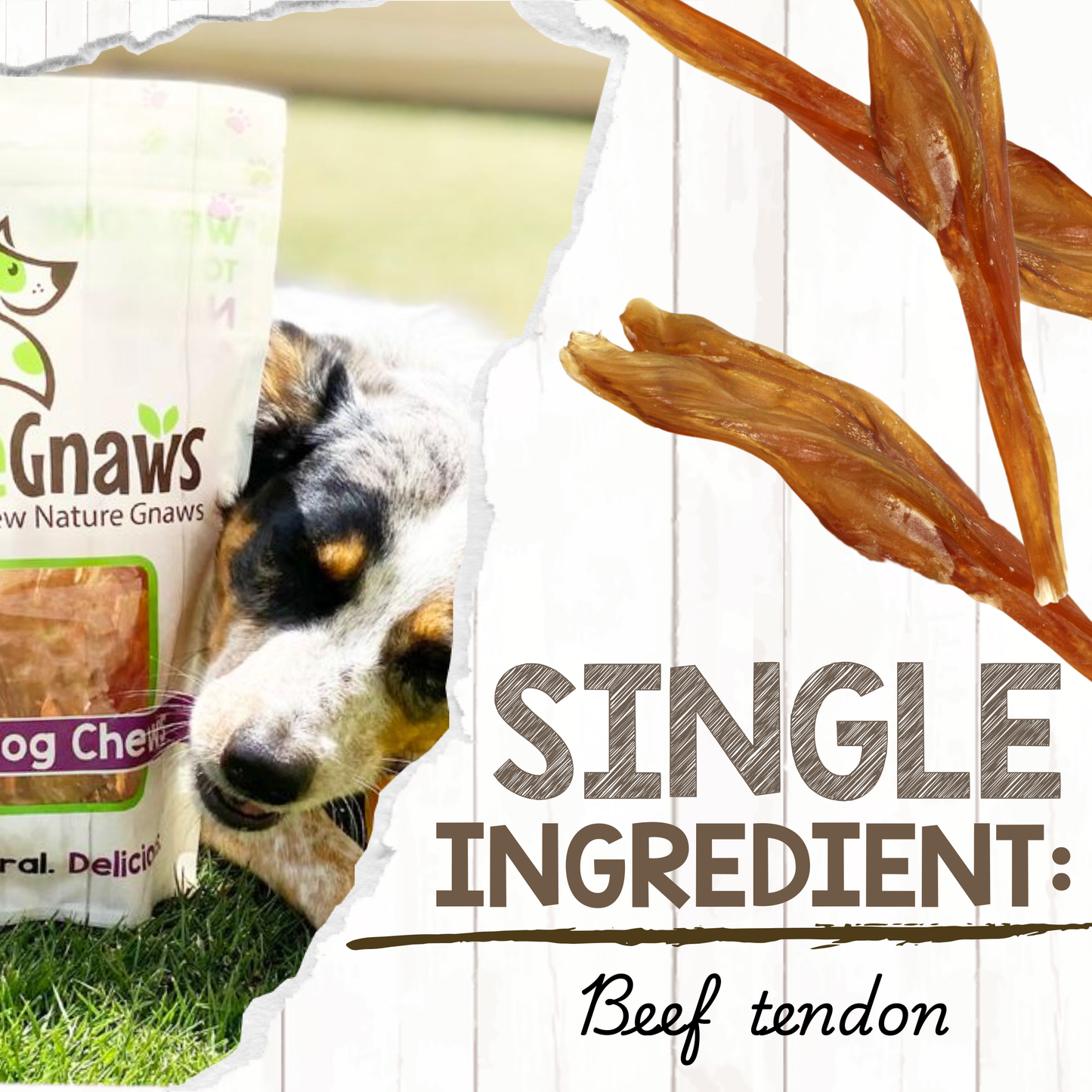 Beef Tendon 7–11" Durable Dental Chews