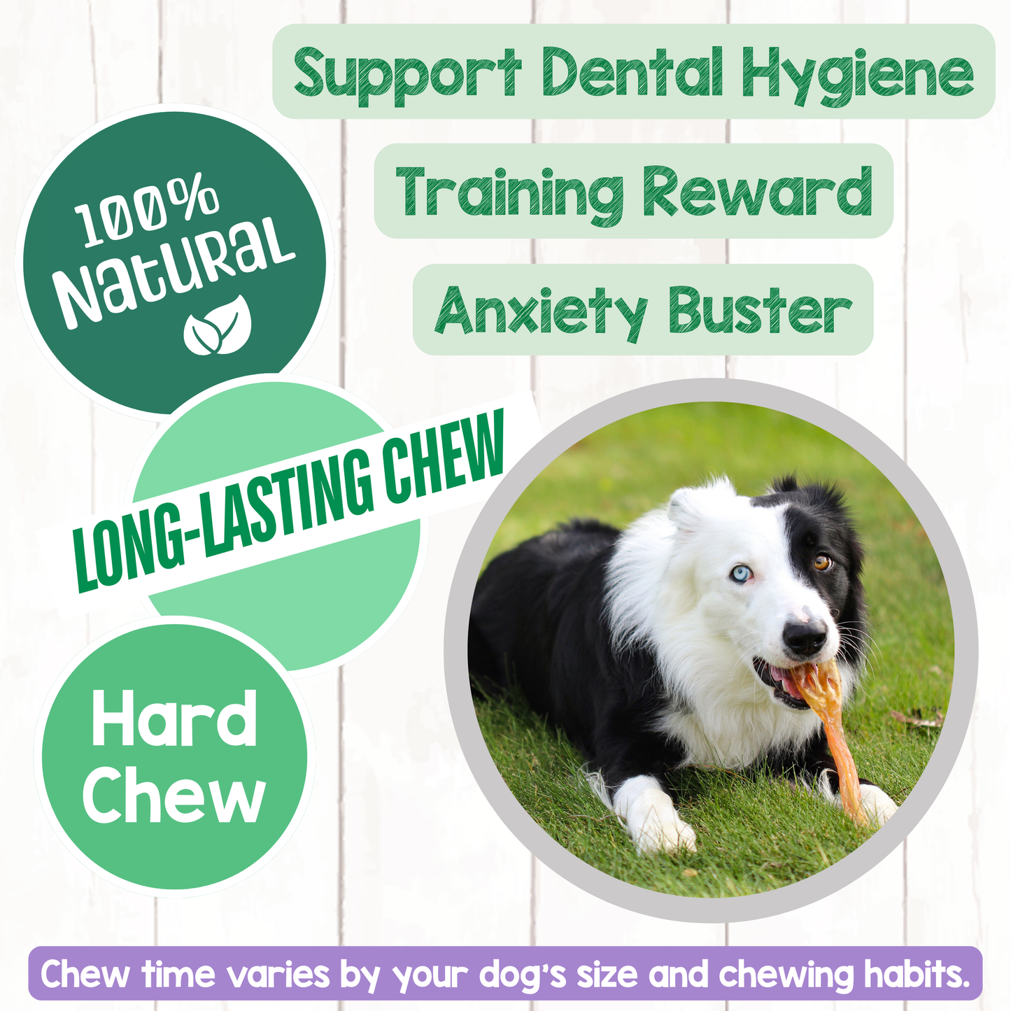 Beef Tendon 7–11" Durable Dental Chews