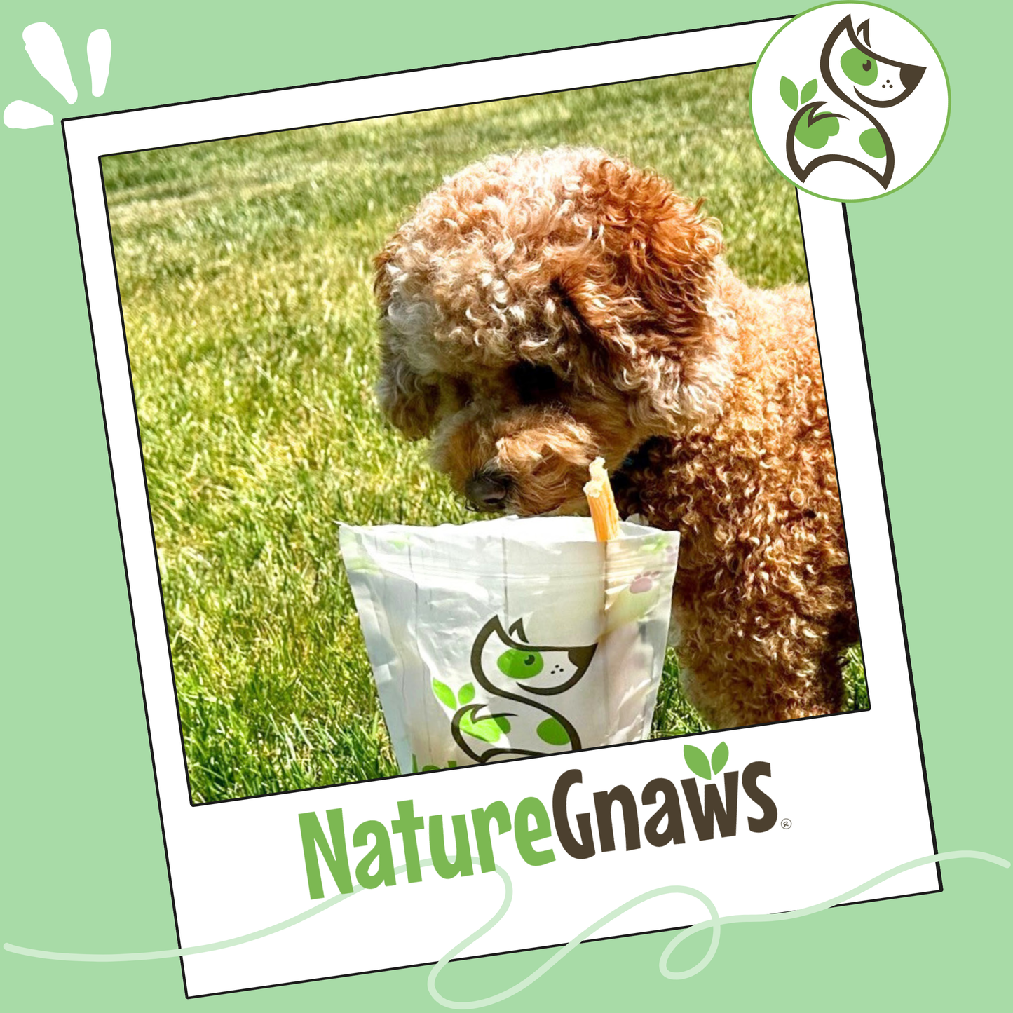 Beef Tendon 7–11" Durable Dental Chews