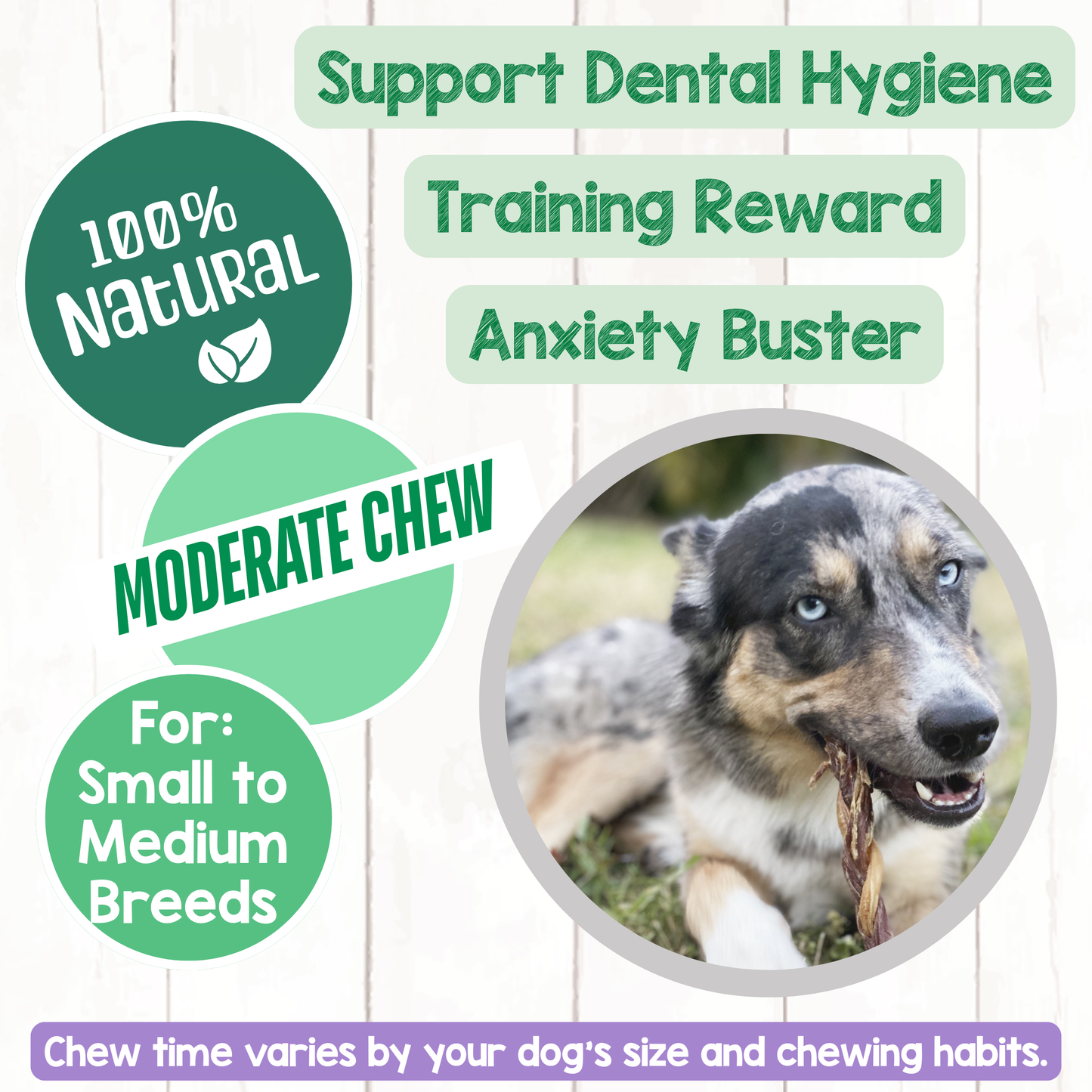 Braided Gnaws Long-Lasting Dental Dog Chews