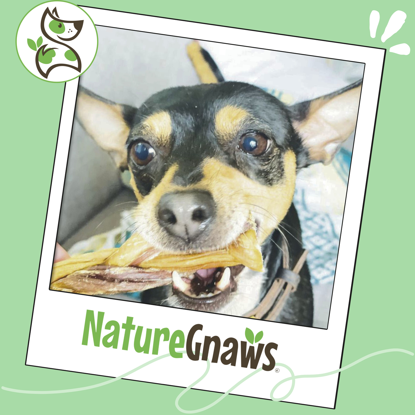 Braided Gnaws Long-Lasting Dental Dog Chews