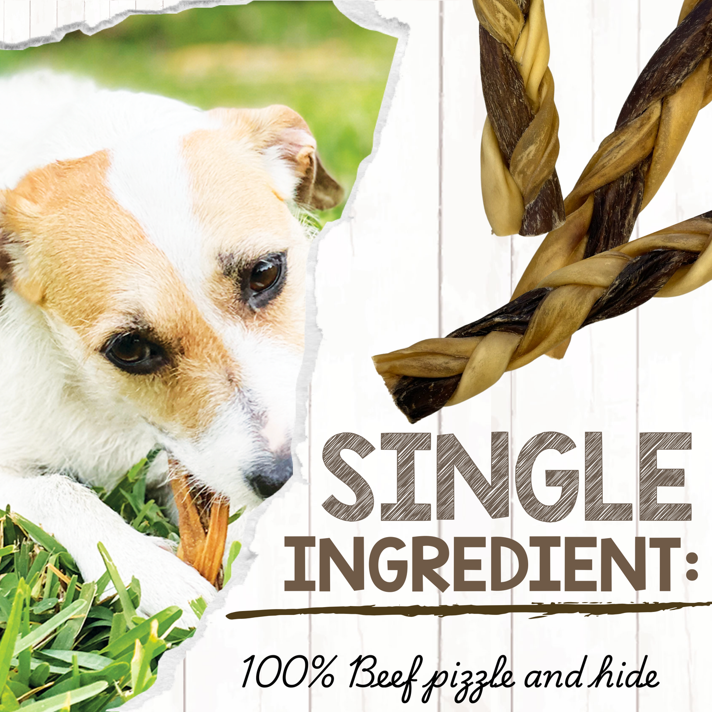 Braided Gnaws Long-Lasting Dental Dog Chews