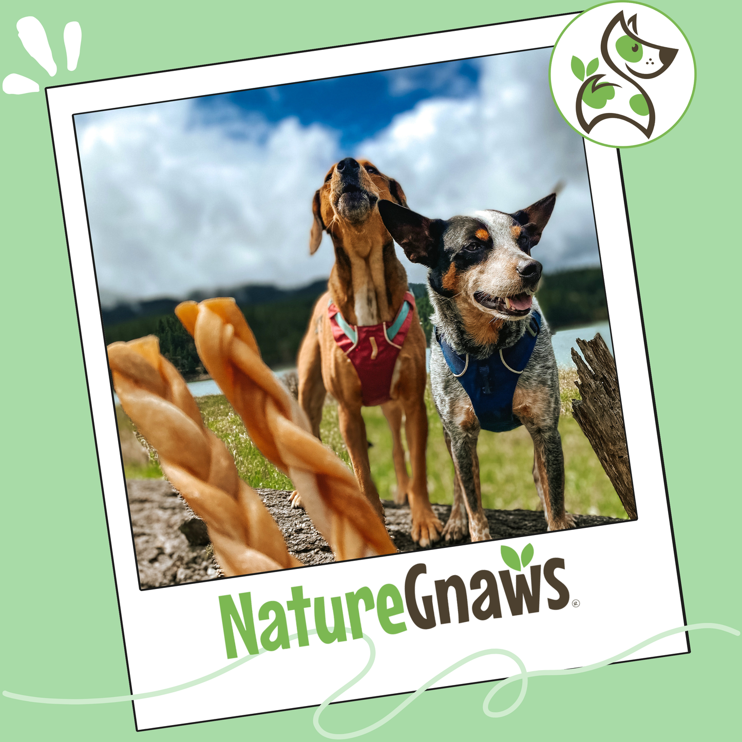 Collagen Braids 6”