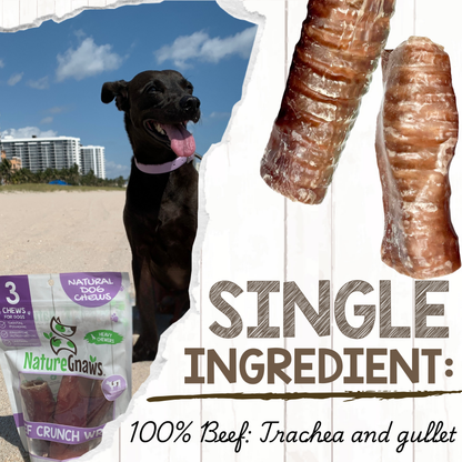 Beef Trachea Crunch Wrap Long-Lasting Dental Chew