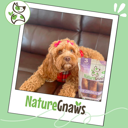 Beef Trachea Crunch Wrap Long-Lasting Dental Chew