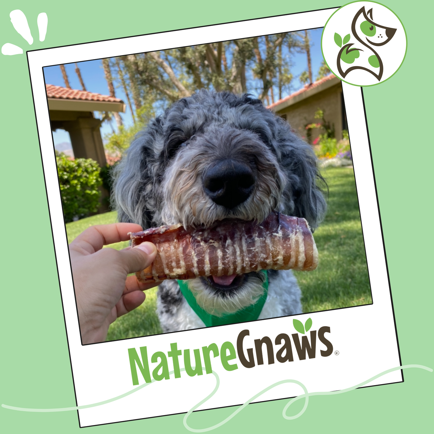 Beef Trachea Crunch Wrap Long-Lasting Dental Chew