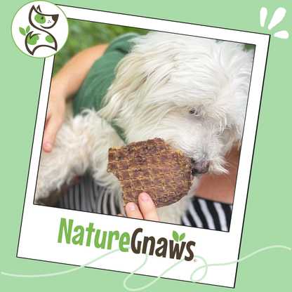 USA Lung Filets Natural Soft Training Chews