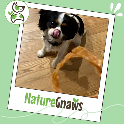 USA Turkey Rings Grain-Free Reward Snack