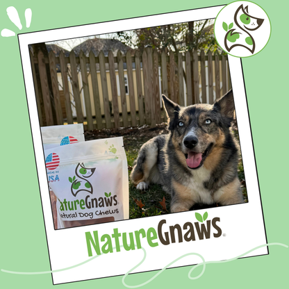 USA Turkey Rings Grain-Free Reward Snack