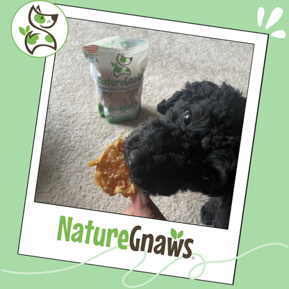 USA Crunchy Tenders 1lb Natural Dental & Training Chews