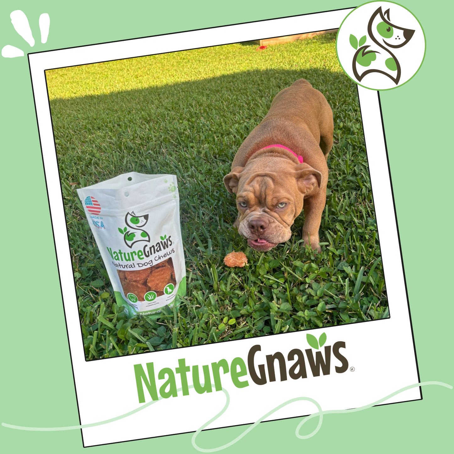 USA Crunchy Tenders 1lb Natural Dental & Training Chews