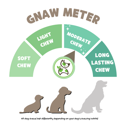 Gnaw Bag Variety Pack for Small Dogs