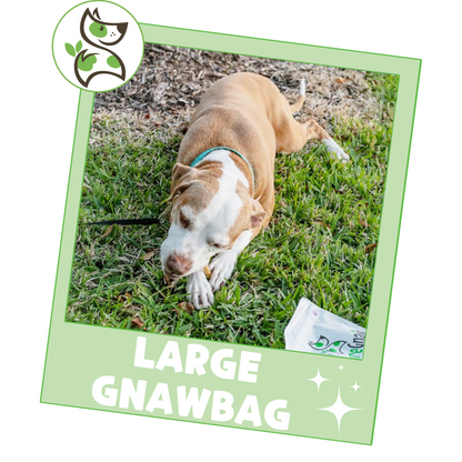 Gnaw Bag Variety Pack for Large Dogs