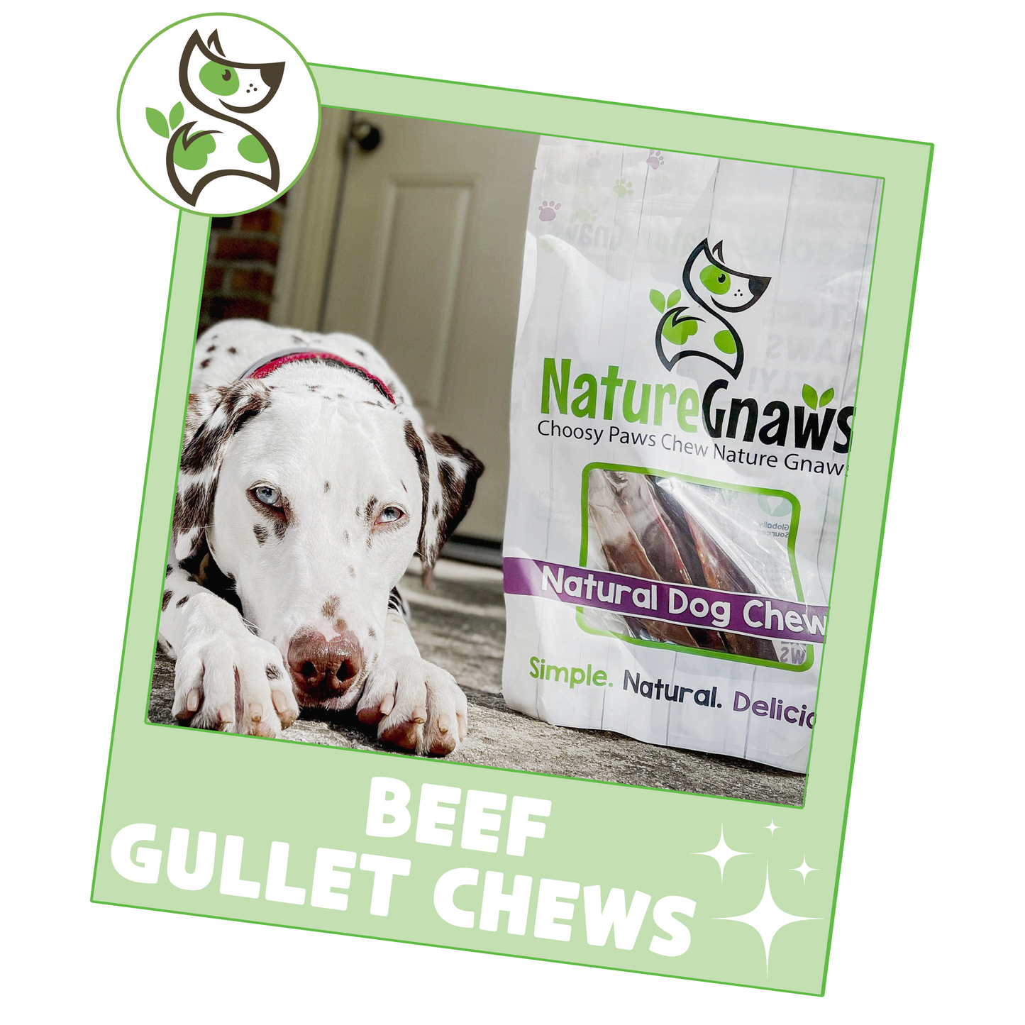 Beef Gullet Chews 9-10"