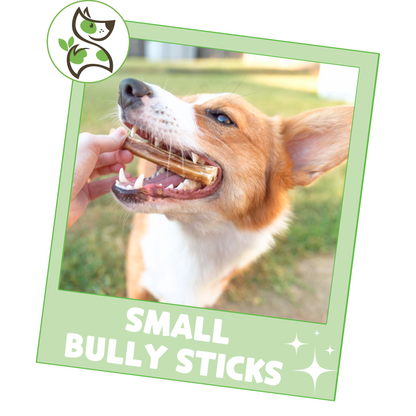 Small Bully Sticks 5-6"