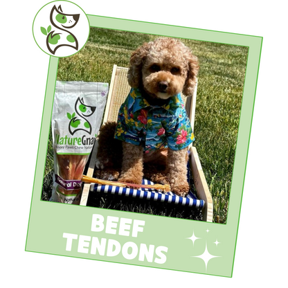 Beef Tendon Chews 7-11"