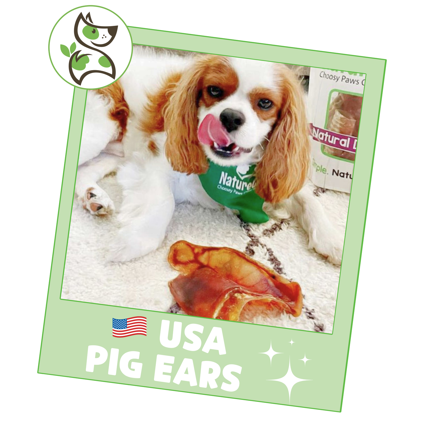 USA Pig Ears