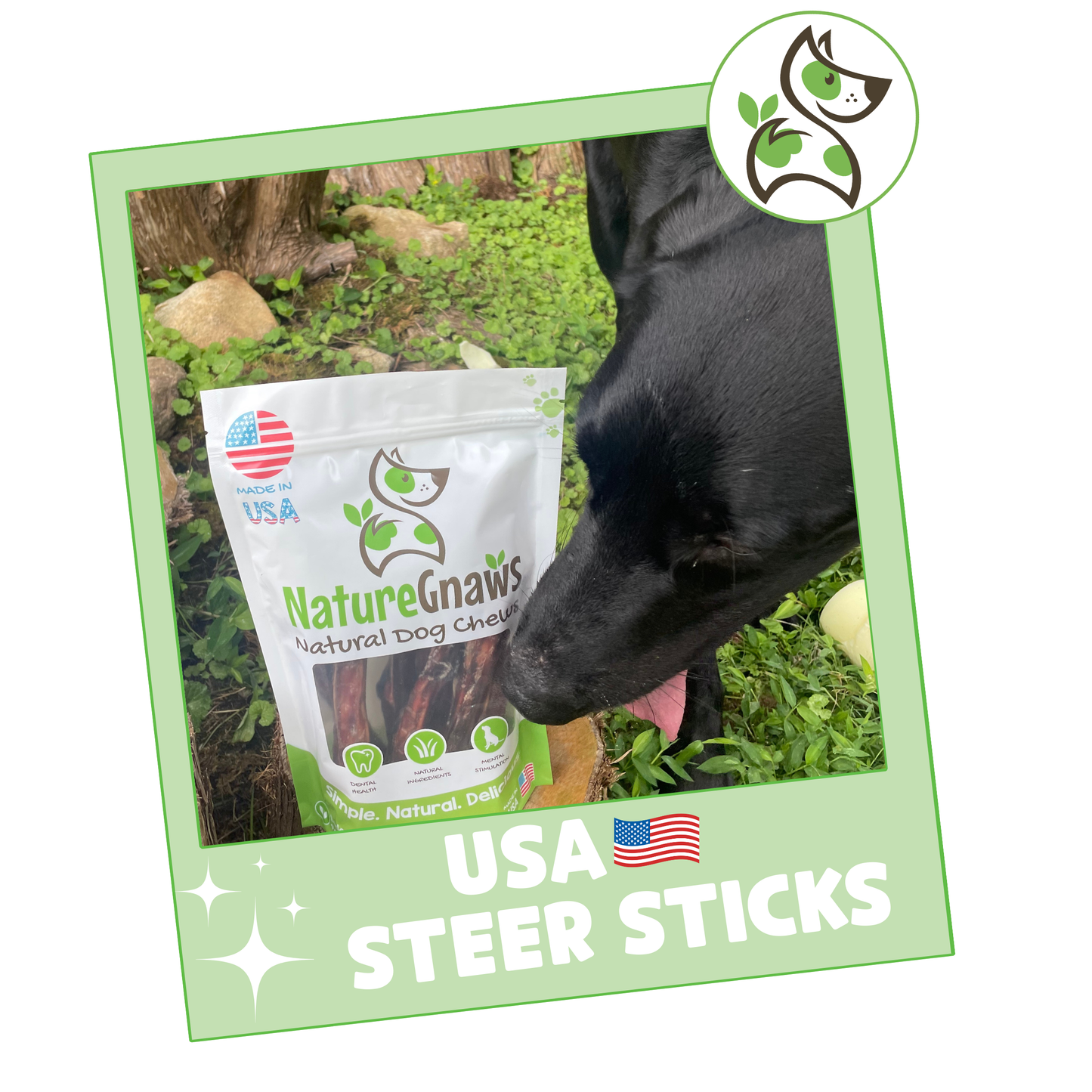 USA Steer Sticks