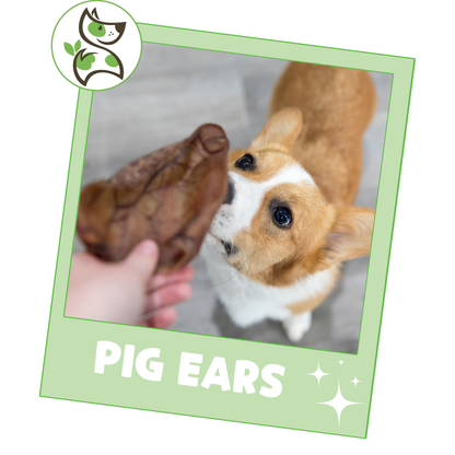 Pig Ears