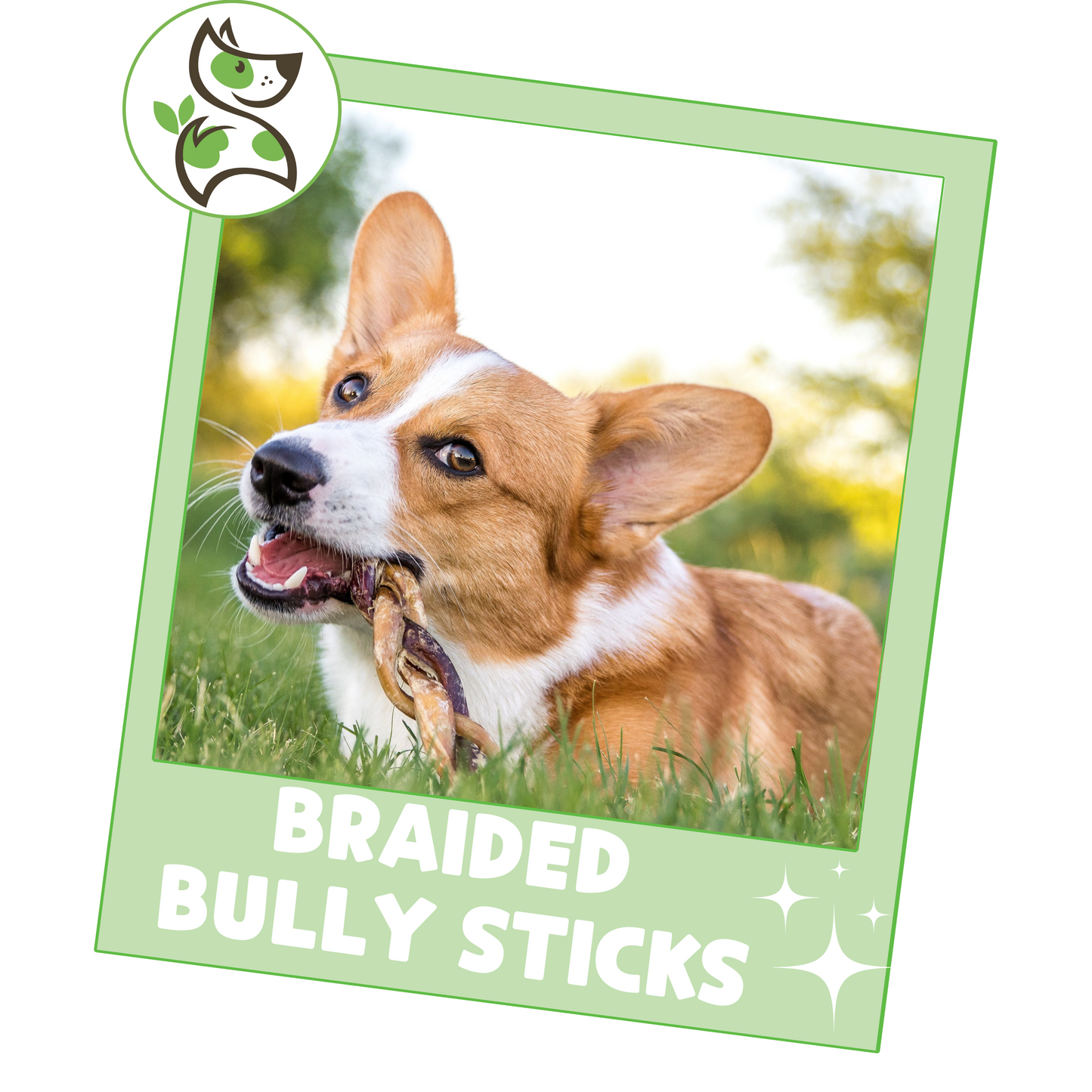 Braided Bully Sticks 5-6"