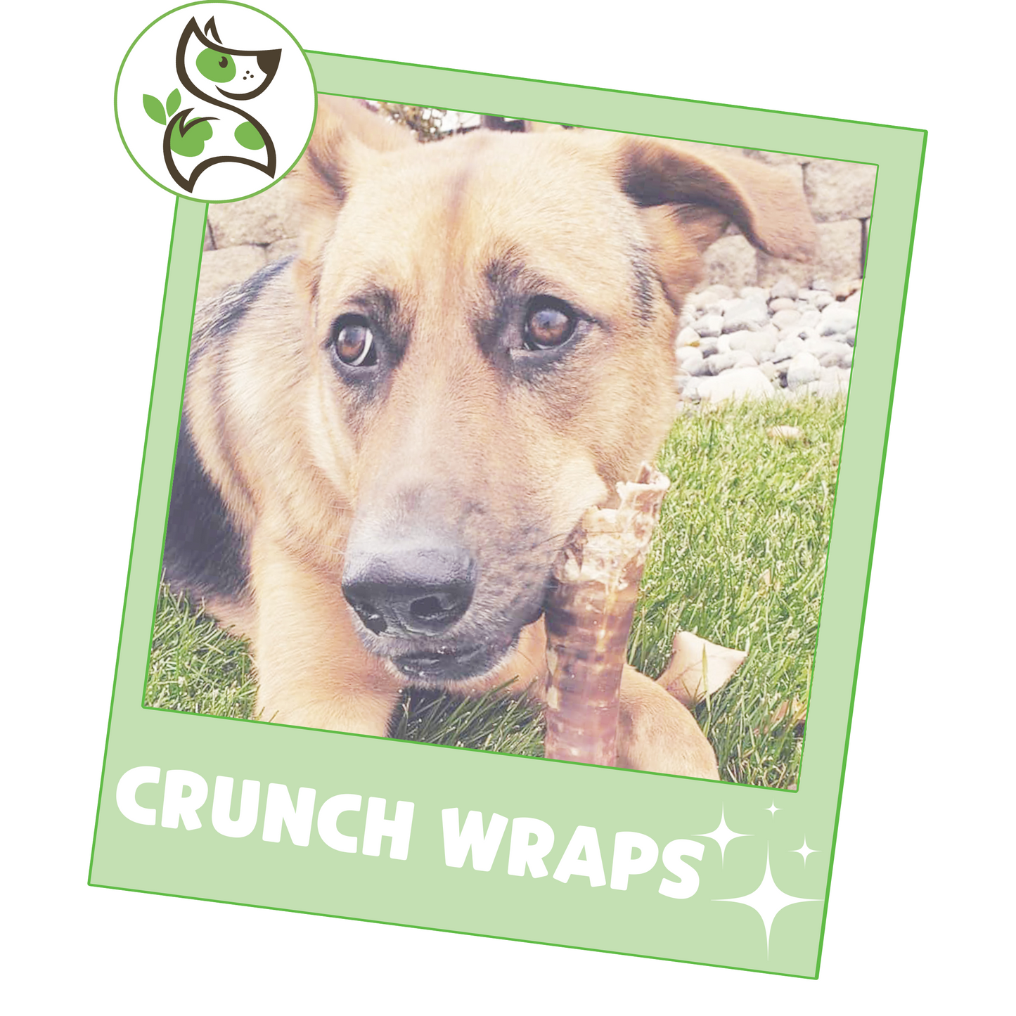 Trachea Crunch Wrap