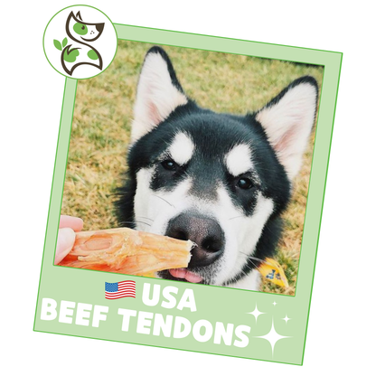 USA Beef Tendons