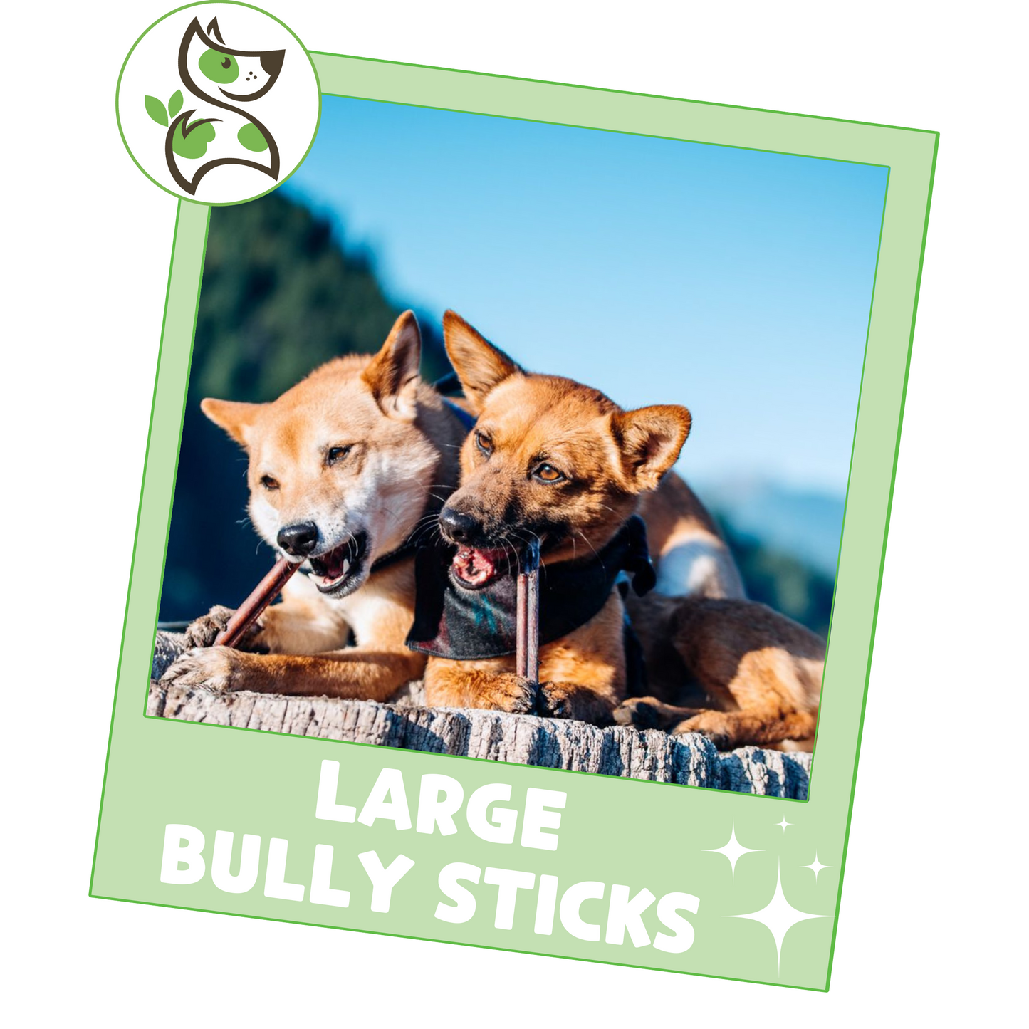 Large Bully Sticks 11-12"