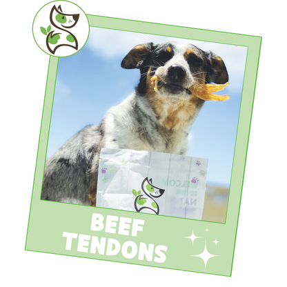 Beef Tendon Chews 4-5"