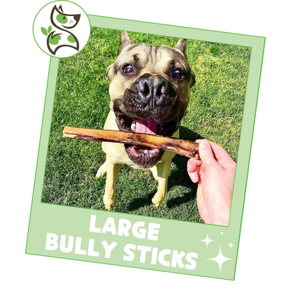 Large Bully Sticks 5-6"