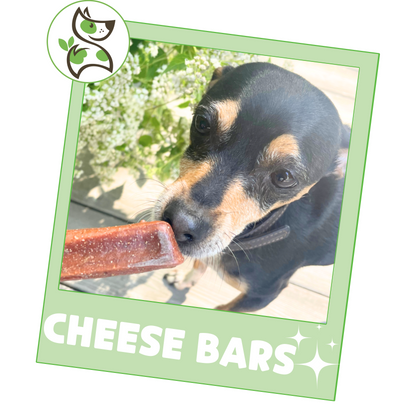 Cheese Bars