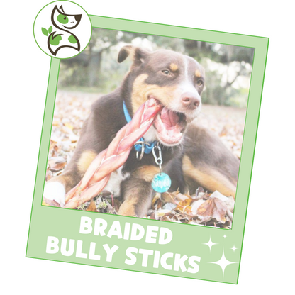 Braided Bully Sticks 11-12"