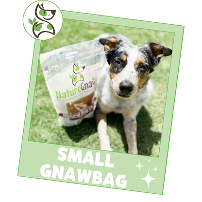 Gnaw Bag Variety Pack for Small Dogs