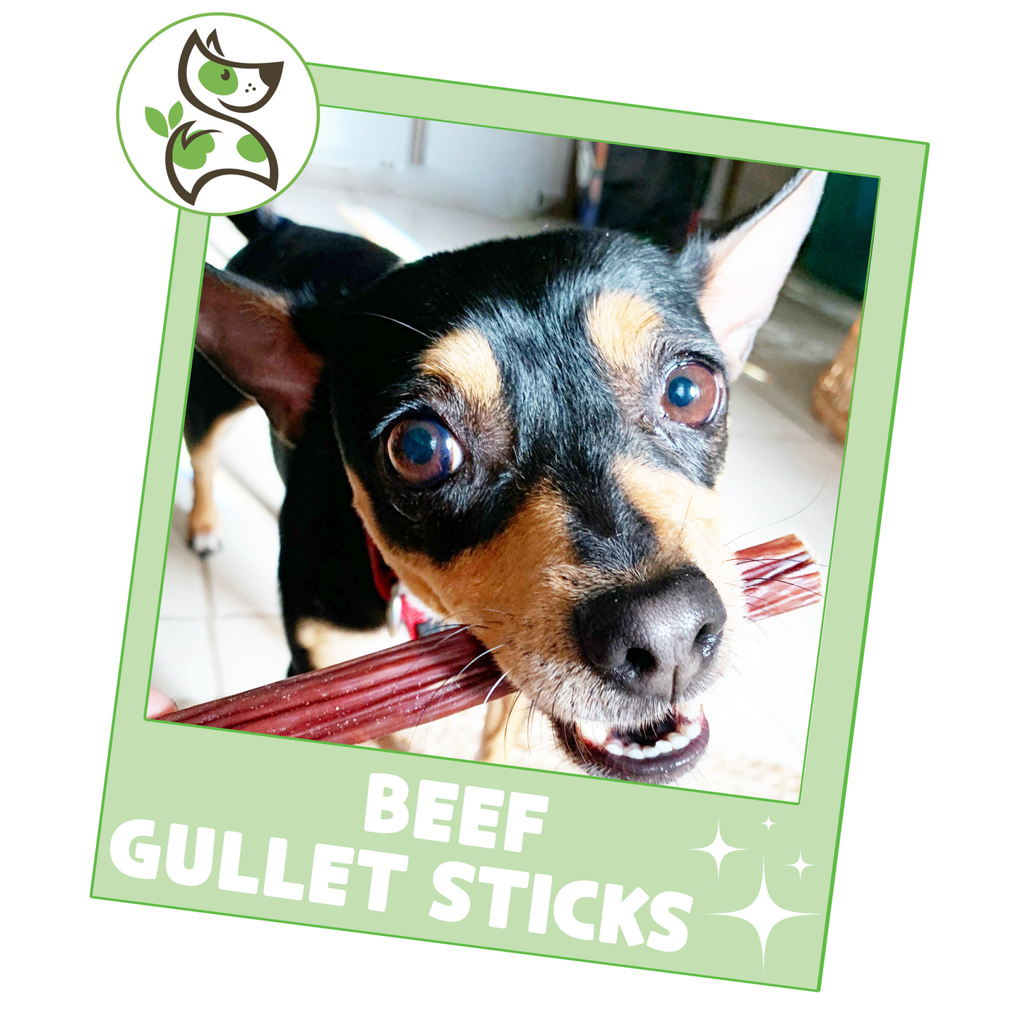 Beef Gullet Sticks 5-6"