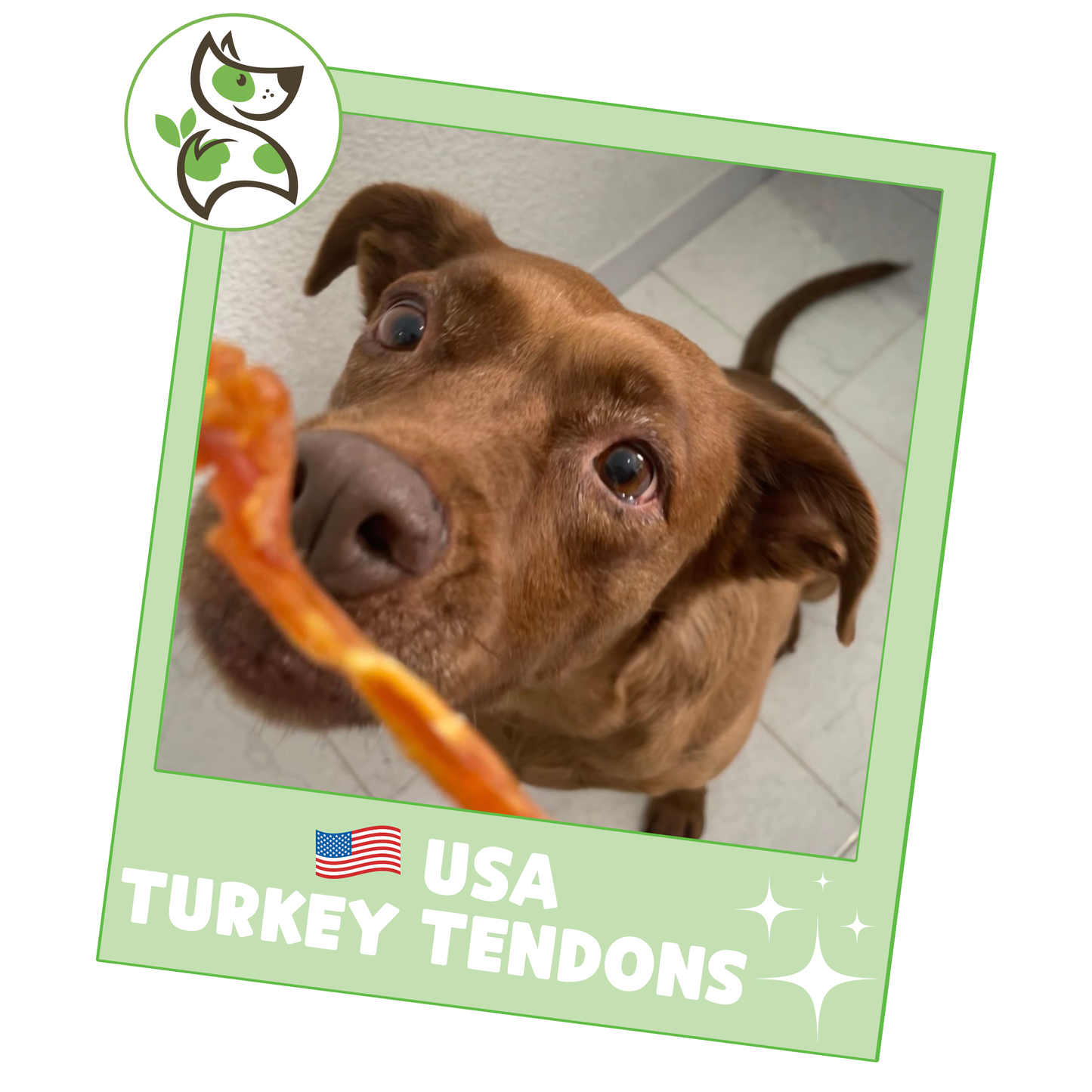 USA Turkey Tendons