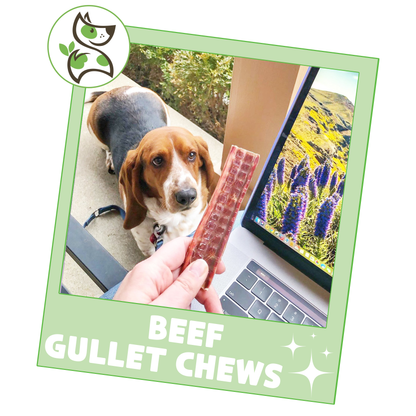 Beef Gullet Chews 4-5"