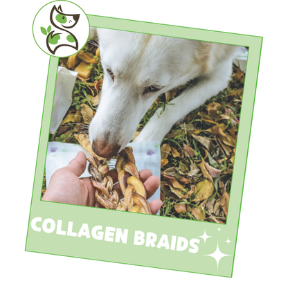 Collagen Braids 6”