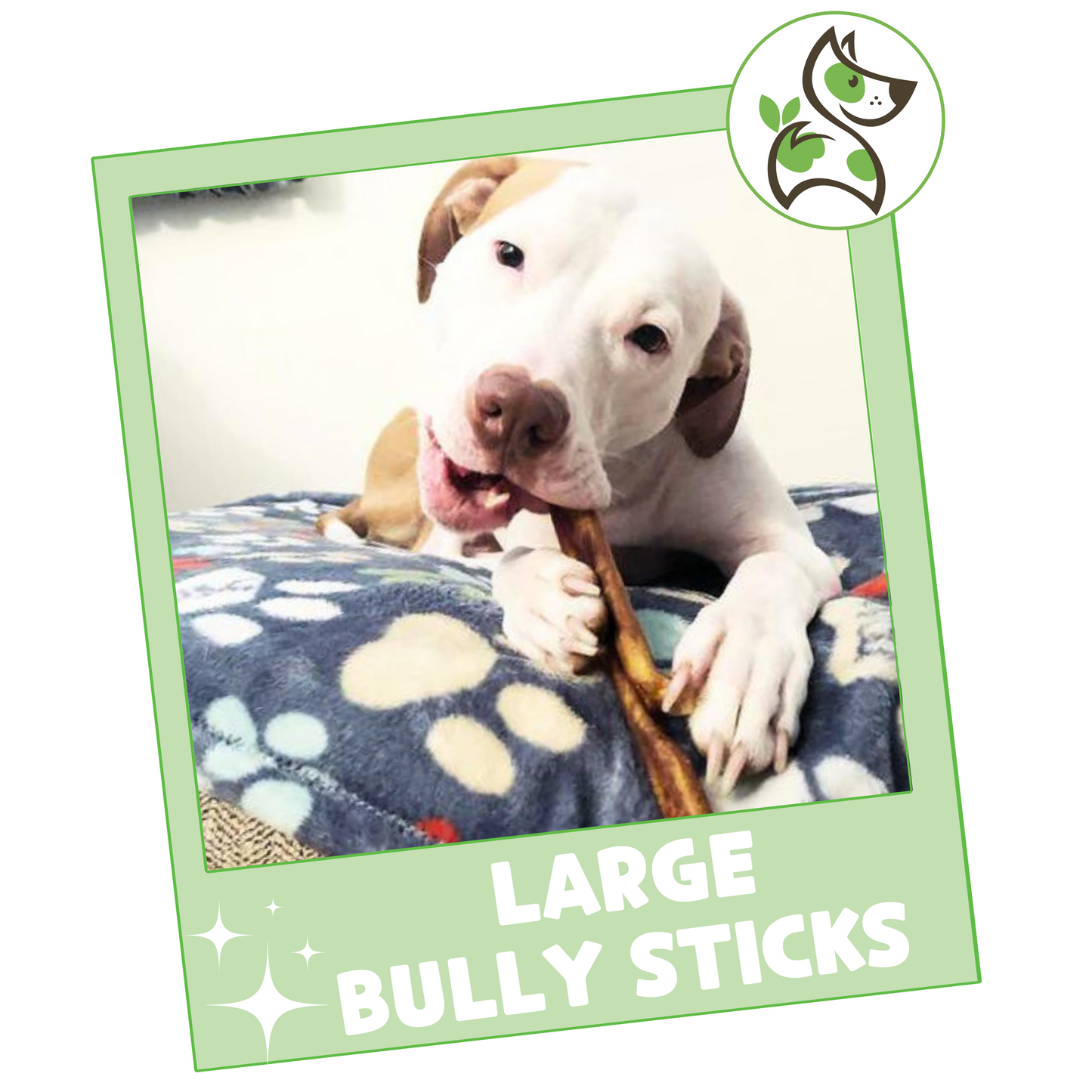 6 Bully Sticks for Large Dogs Natural Dog Treats Nature Gnaws NatureGnaws