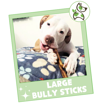 Large Bully Sticks 5-6"