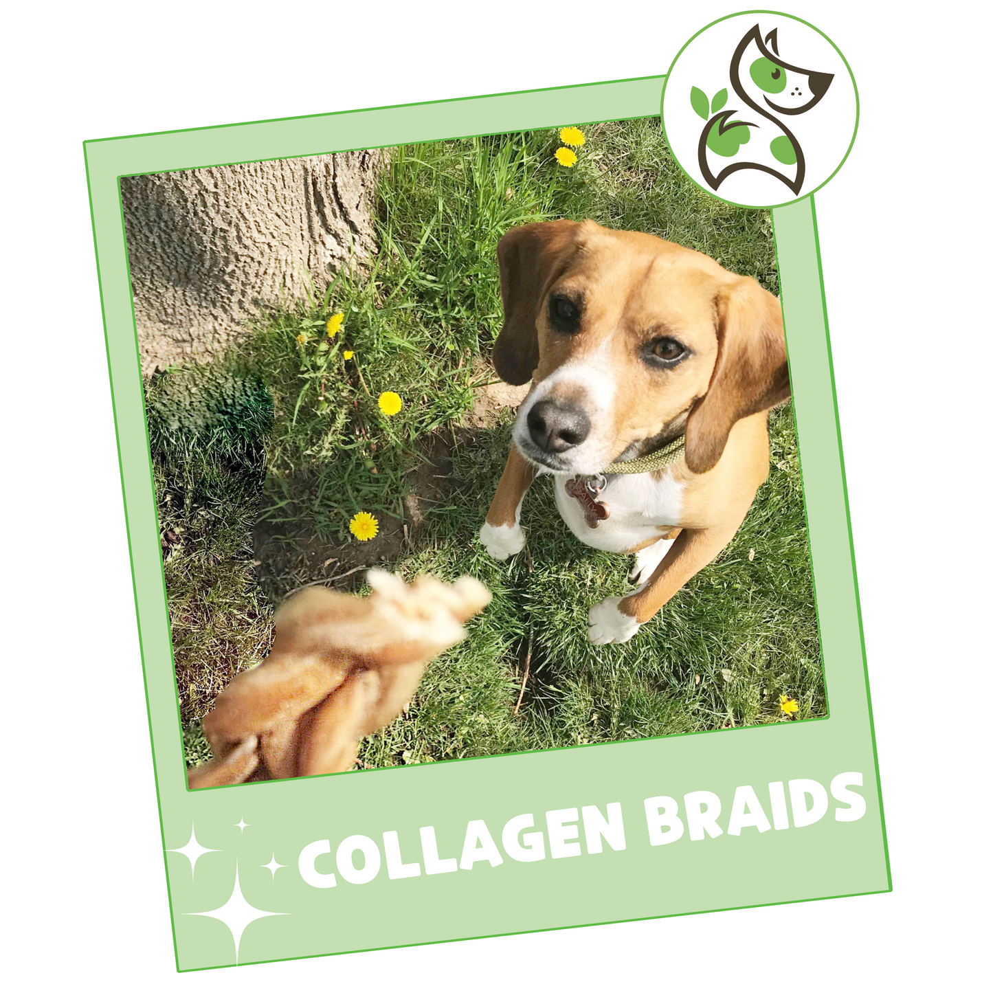 Collagen Braids 6”