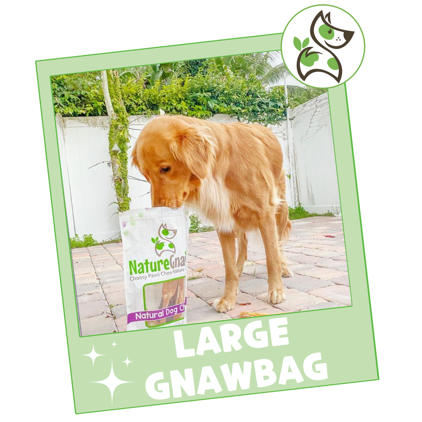 Gnaw Bag Variety Pack for Large Dogs