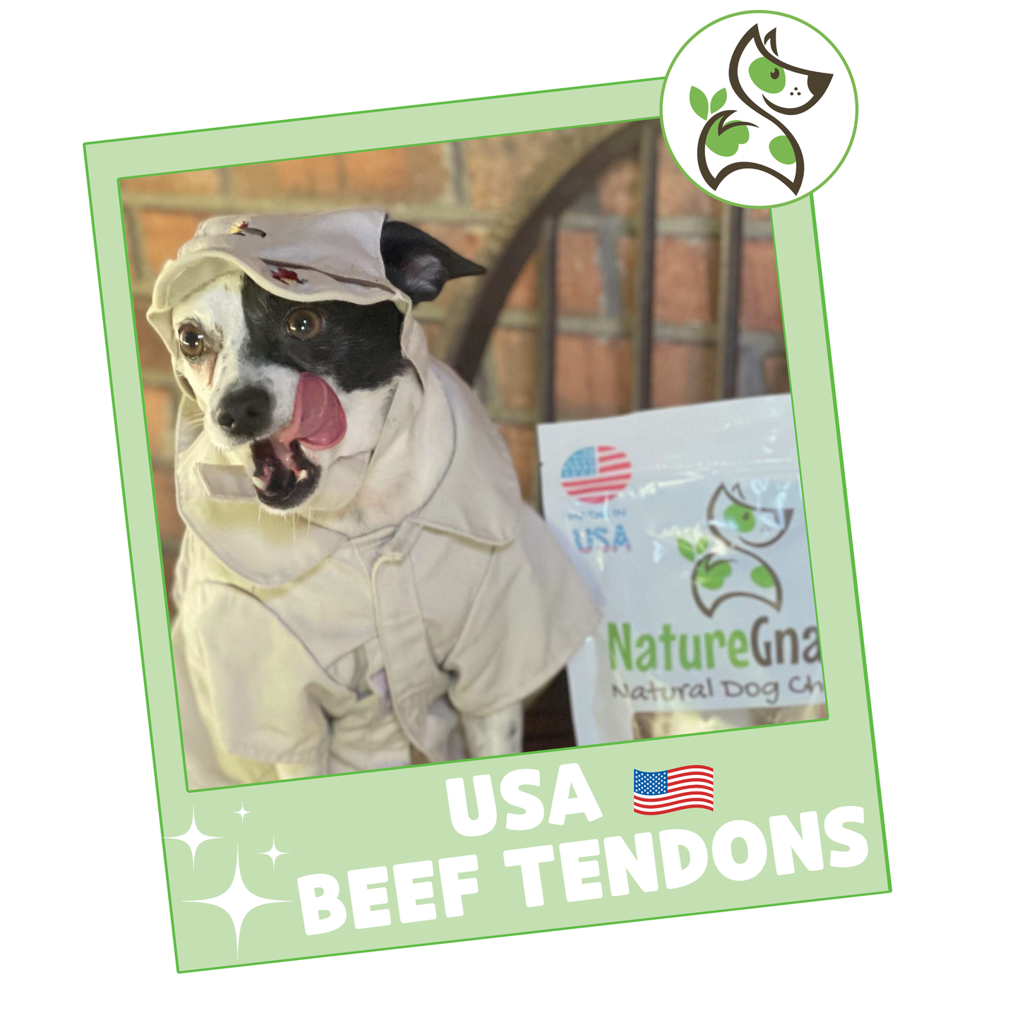 USA Beef Tendons