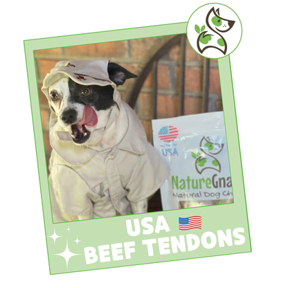 USA Beef Tendons