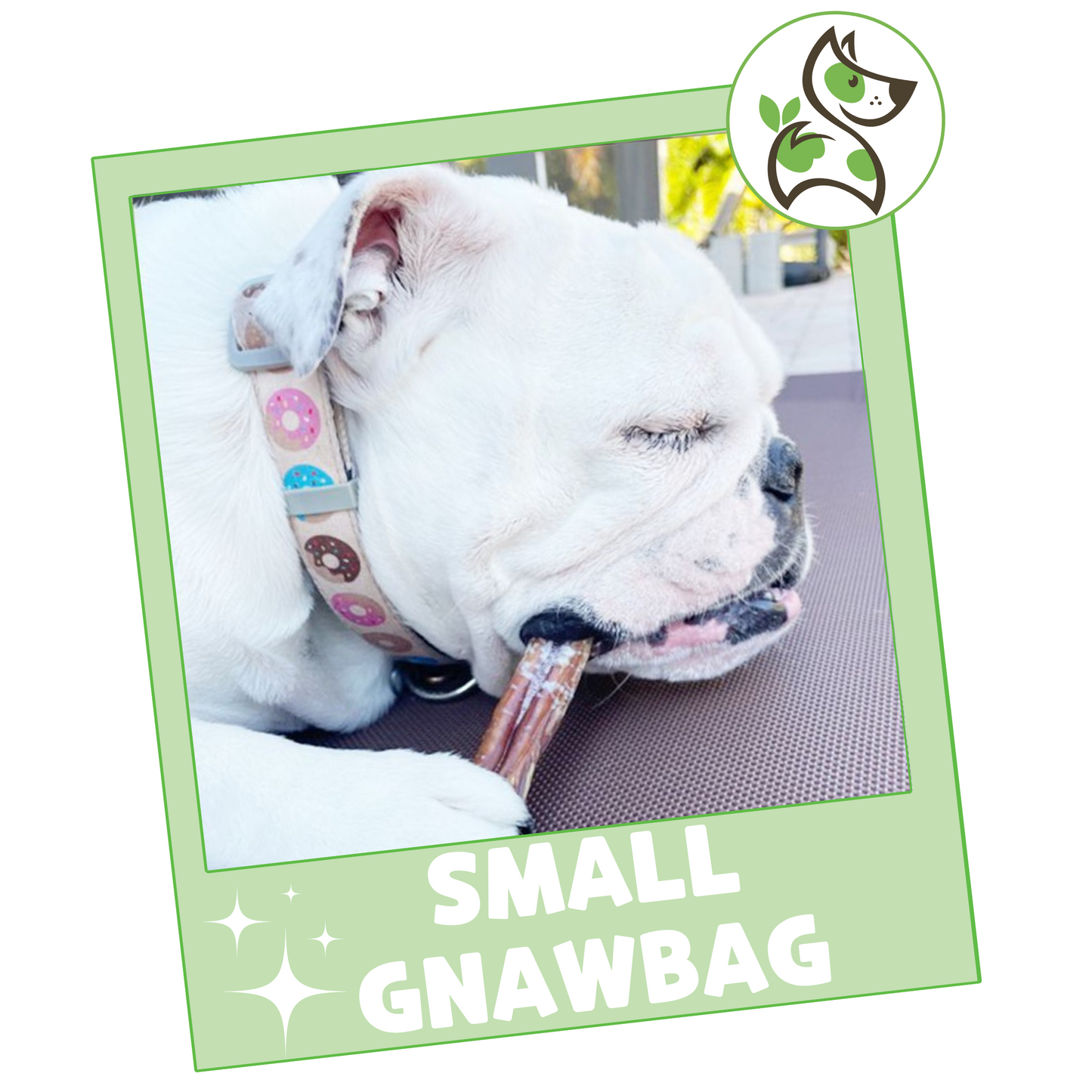 Gnaw Bag Variety Pack for Small Dogs